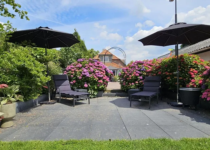 Farm Near Bronkhorst * Steenderen