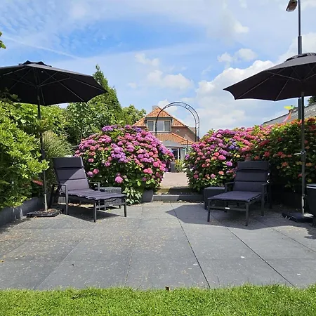 Farm Near Bronkhorst * Steenderen
