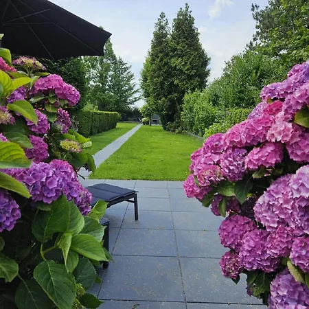 Farm Near Bronkhorst