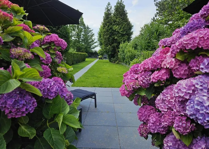 Farm Near Bronkhorst